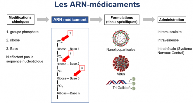 Arn medicaments 2