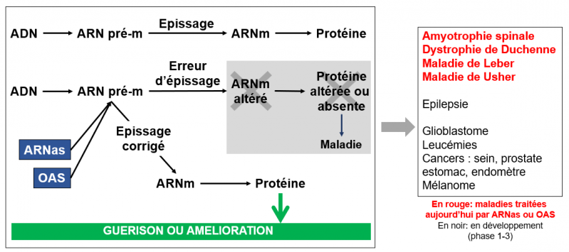 Therapie par arnas ou oas