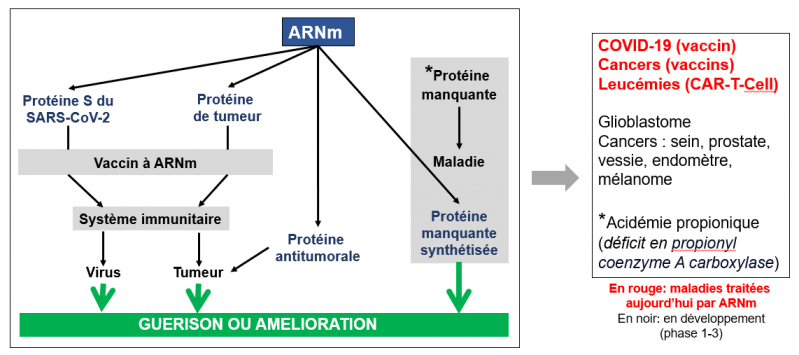 Therapie par arnm